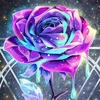 ViaKR