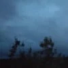 Ночь без грёз