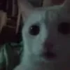 Плазменный дом