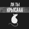 КотэМилка