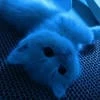 Blue town