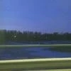 ночной шиповник