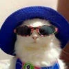 Лил коТ