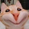 dary_66