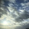 Dark_Terner