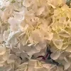 Lia_K