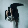 WhiteBird_4117_kar