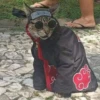 кароче я хз