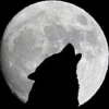 Guardianofdarkness