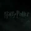i_love_harryP
