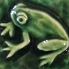 Nicole. The Green Witch