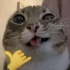 scwdug