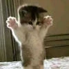 кьюти печенька