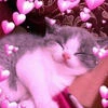 Meoww_12
