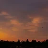 Каллисто-888