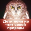 bloody_storyteller