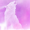 Black_Wolf_2002