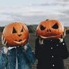 liss_fd