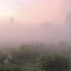 Министерство рассвета