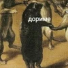 дориме старший