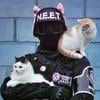 Найтвиз