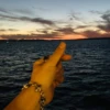 Never ceasing to dream