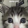 мелшуня