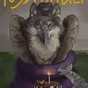 Кира Анибурт