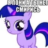 Pony_ponyasha