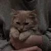 Цветочекккккк