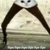 Xioorokaa__
