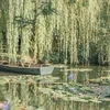 Riverside Dreamer