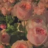 mur_mashur