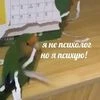 Поли Пол