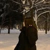 чайок невская