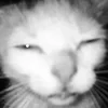 Я стол