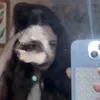 avangardova