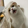 Матерь_Котья