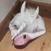 AtiisTheDrawer228