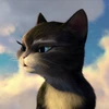 Miss Softpaws