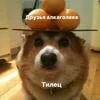 Котэха1