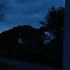 Кашамяу