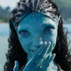 avatarqd