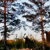 Вадим Хусаинов