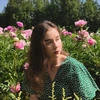 Vivikan