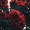 ketrin.lorein