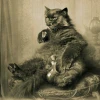 Арина Костина