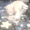 meowllich