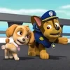 Lera_dogs