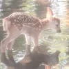 Жан ив моро 44
